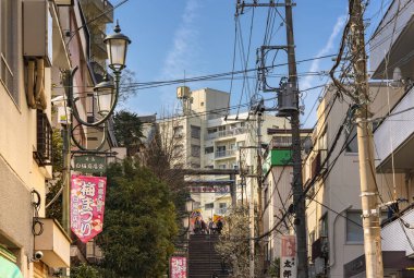 Tokyo, Japonya - Mart 02 2020: Shiraume veya Tokyo 'daki Yushima Tenmangu Tapınağı' na giden beyaz erik ağaçlarına tapan Heian döneminden diplomat Sugawara no Michizane