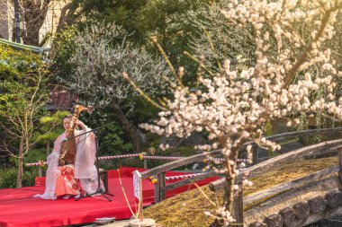 Tokyo, Japonya - Mart 02 2020: Japon biwa lavtası gösterisi Yushima Tenmangu Tapınağı 'nda erik çiçeği festivali sırasında Japon bir kadın tarafından gerçekleştirildi..