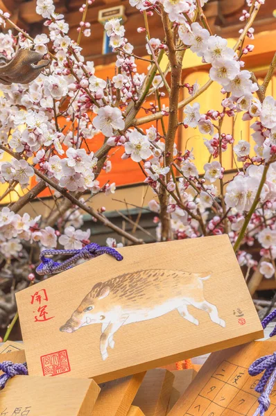 Tokyo Japan March 2020 Shinto Wood Ema Plaques Plum Tree — 스톡 사진