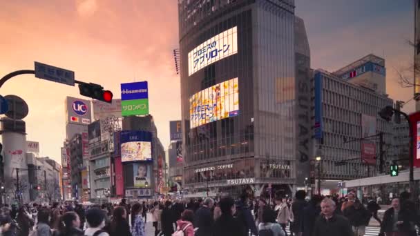 Gün batımında Shibuya Kavşağı 'nda bekleyen ve geçen kalabalığın videosunu çevirin. — Stok video