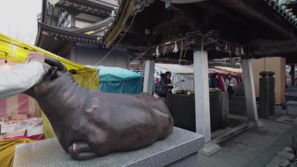 Tokyo, Japonsko - březen 02 2020: Panovo video bronzové sochy vola, kterou nosí ruce věřících a která je věnována božství studií Sugawa no Michizane ve svatyni Yushima Tenmagu v Tokiu. — Stock video