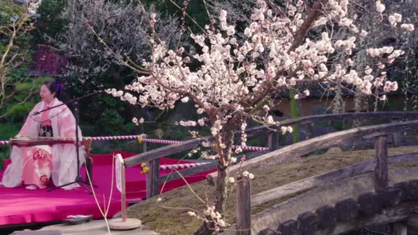 一名身穿和服的日本妇女进行比瓦琵琶示范的潘视频. — 图库视频影像