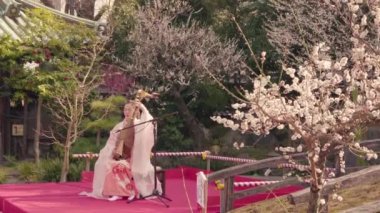 Kimonolu bir Japon kadının biwa Lavta gösterisinin statik videosu..