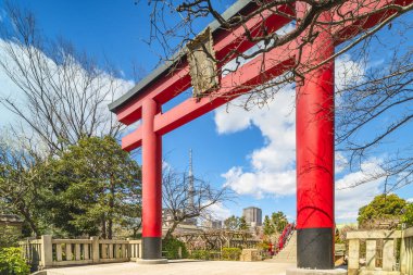 Tokyo, Japonya - 08 Mart 2020: Tokyo Skytree Kulesi ve Kameido Tenjin tapınağının kırmızı Torii shinto kapısı çiçek açmış erik ağaçlarına tapan Sugawara no Michizane adanmıştır..