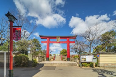 Tokyo, Japonya - 08 Mart 2020: Kameido Tenjin tapınağının kırmızı Torii shinto kapısı çiçek açmış erik ağaçlarına tapan Sugawara no Michizane adanmış.