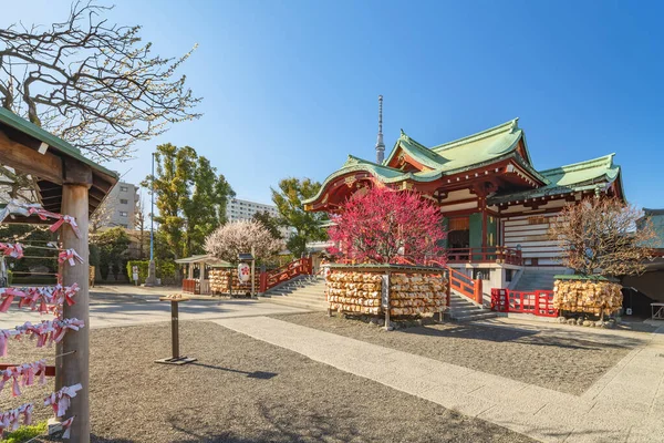 Tokyo Japan Μάρτιος 2020 Ναός Kameido Tenjin Αφιερωμένο Στον Sugawara — Φωτογραφία Αρχείου