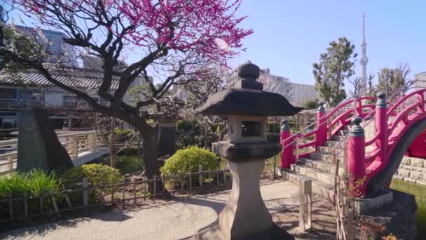 Vidéo panoramique de lanterne en pierre et pont d'arche dans le sanctuaire de Kameido Tenjin avec la tour Tokyo Skytree . — Video