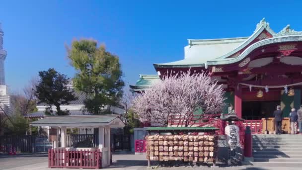 Vídeo panorámico de Estatua de buey dedicada a Sugawara no Michizane en el santuario de Kameido Tenjin con el Skytree de Tokio . — Vídeo de stock