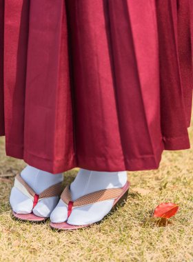 Sonbaharda çimenlerin üzerinde mor hakama kimonolu bir Japon kadının bacaklarına yakın dur..