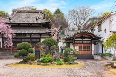 Tokyo, Japonya - 30 Mart 2020: Shinto tanrısı Ebisu 'ya adanmış Seiunzenji zen tapınağının bahar manzarası ve ağlayan kiraz ağacı nedeniyle Hanami Tapınağı olarak da adlandırılır. Duvarı Katomado denen alev şeklinde ahşap pencerelerle süslenmiş..