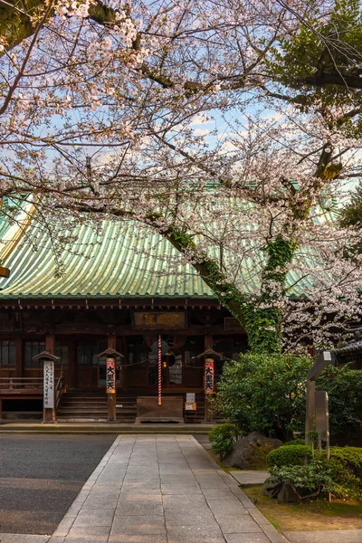 Tokyo Japon Mars 2020 Entrée Temple Gokokuin Décoré Lanternes Papier — Photo