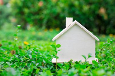 küçük ahşap ev hiçbir vücut yeşil bahçesinde ve taze arka plan üzerinde kullanın