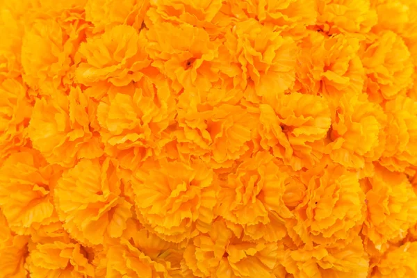 Gele kunstbloemen bekleed met een achtergrond in horizontale — Stockfoto