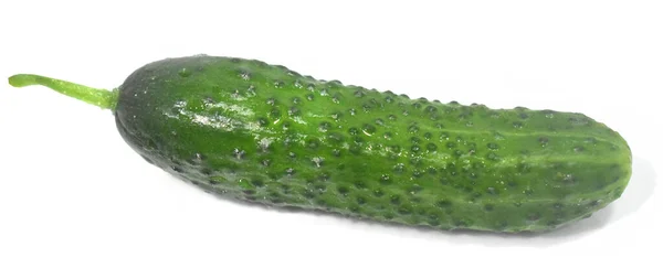 Komkommers Geïsoleerd Witte Achtergrond — Stockfoto