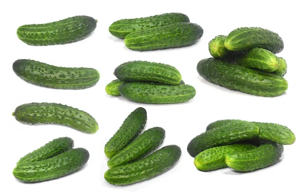 Komkommers Collectie Witte Achtergrond Set — Stockfoto