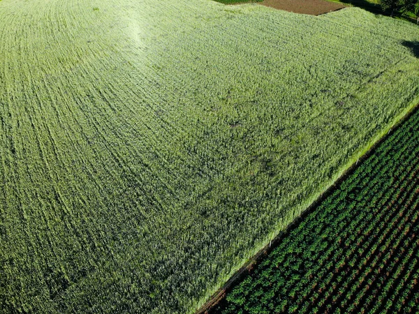 Foto Aeree Della Nostra Meravigliosa Casa Nello Spessart Agricoltura Centro — Foto Stock