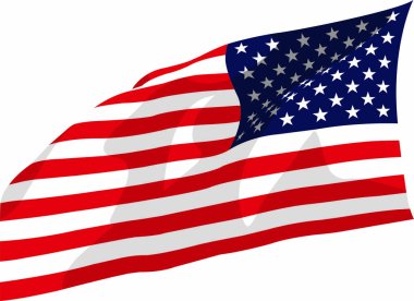 Usa, biz sallanan bayrak vektörü gerçekçi