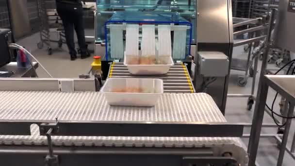 Automatisierte Lebensmittelproduktion Und Verpackungsband — Stockvideo