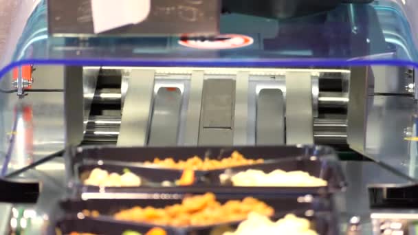 Zautomatyzowana Produkcja Żywności Taśma Pakująca — Wideo stockowe