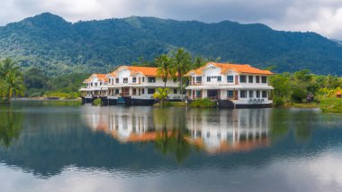 palmiye ağaçları ile peyzaj