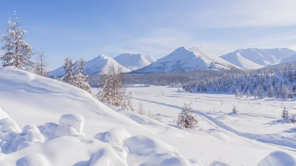 Kışın dağ manzarası