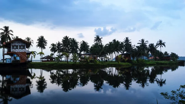 palmiye ağaçları ile peyzaj