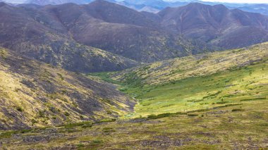 Yazın dağ manzarası