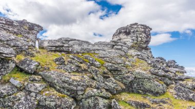 Moss ile izole hillisolated hill