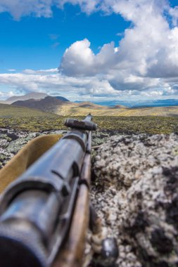 Görme rifleon bir arka plan