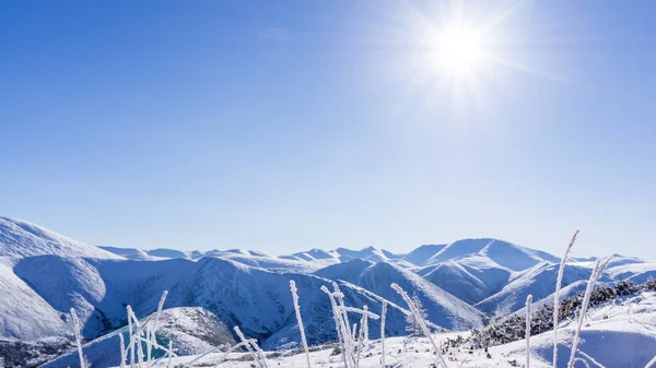 Berglandschap in de winter — Stockfoto