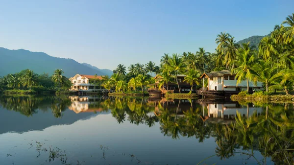 palmiye ağaçları ile peyzaj