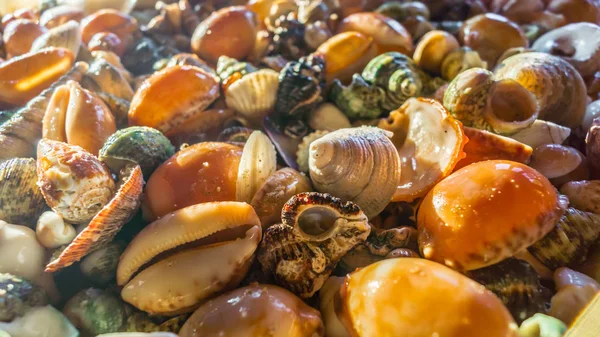 arka plan kabukları