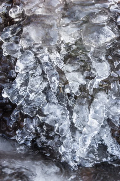 Donmuş creek portre