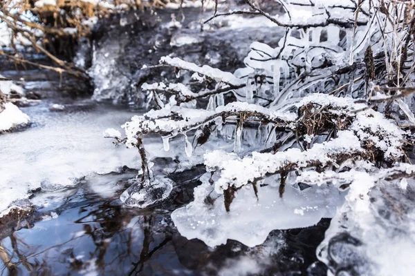 Frozen creek closeup — Stock Photo, Image