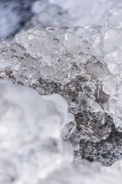 Donmuş creek portre