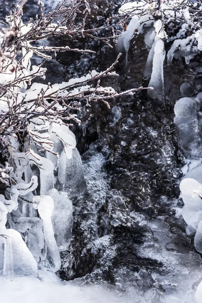 Donmuş creek portre — Stok fotoğraf