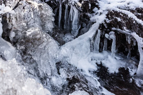 Donmuş creek portre — Stok fotoğraf