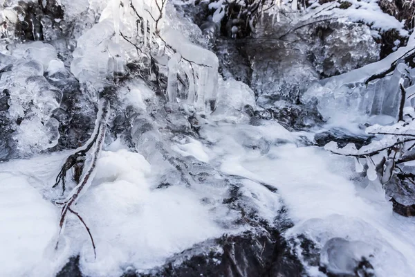 Donmuş creek portre — Stok fotoğraf