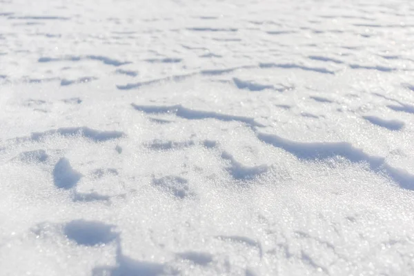 Snow pattern closeup — Stock Photo, Image