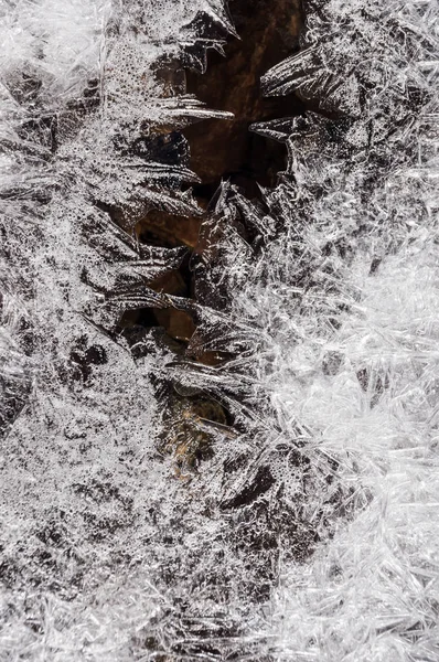 Creek in the ice — Stock Photo, Image