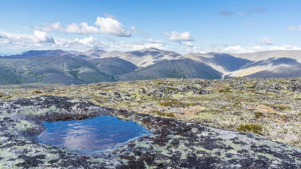 Yazın dağ manzarası