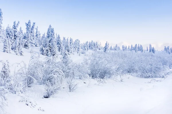 Сніжне зимовий пейзаж Ліцензійні Стокові Фото