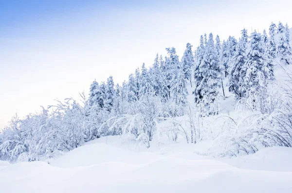 Χειμερινό χιονισμένο τοπίο Εικόνα Αρχείου