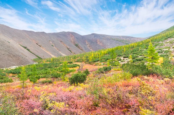 Осінній пейзаж у Магаданської області Стокове Зображення