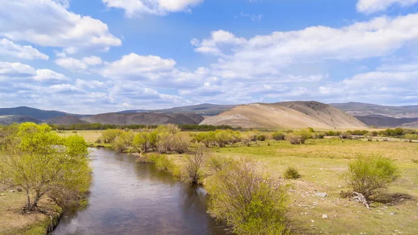 Ağaçların arasında küçük bir nehir