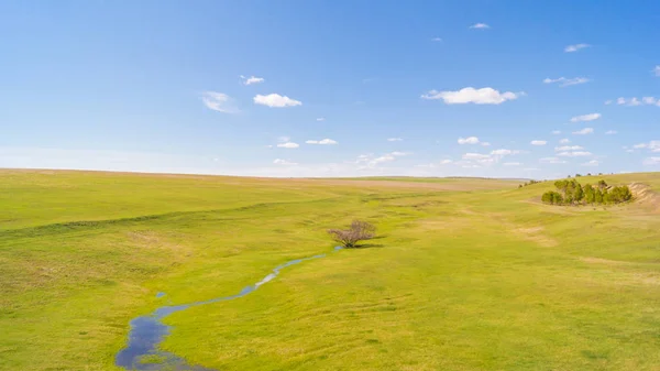 Yeşil çim ile sakin manzara