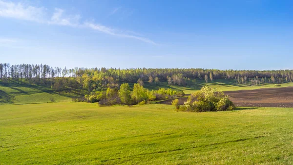 Yeşil çim ile sakin manzara