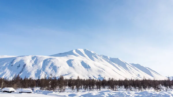 산, 아침, 겨울, 눈 풍경 — 스톡 사진