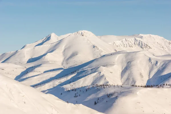산, 아침, 겨울, 눈 풍경 — 스톡 사진