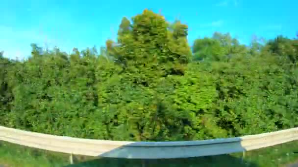 车顶自行车架的阴影落在绿色的灌木丛上 就像开车经过道路安全屏障 用灌木和混凝土隔板从乡间道路上开车看 公路上的自行车交通 车顶上的自行车与绿色的对比 — 图库视频影像